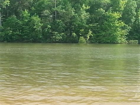 Pointes west army resort is located in appling georgia on beautiful clarks hill lake (lake strom thurmond). West Point Lake - Picture of Highland Marina Resort ...