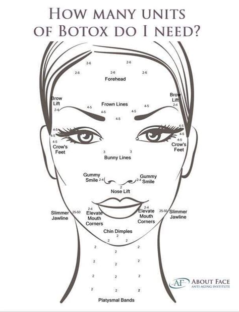 Printable Botox Injection Face Map Printable Templates
