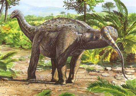 Saltasaurus Loricatus Prehistoric Animals Prehistoric World Dinosaur