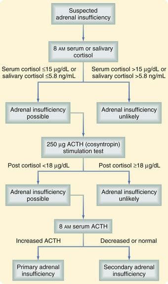 Adrenal Insufficiency Cortisol Level