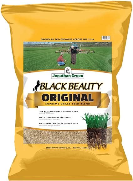 Amazon Com Jonathan Green Black Beauty Original Grass Seed Blend Cool Season Lawn