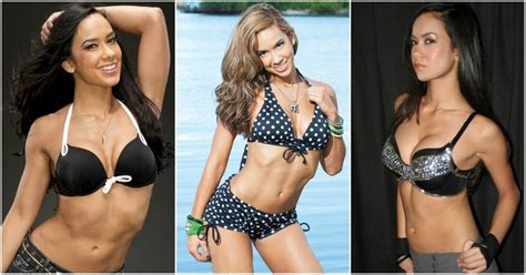 Hottest AJ Lee Bikini Pictures Will Make You Melt Like An Ice Cube The Viraler