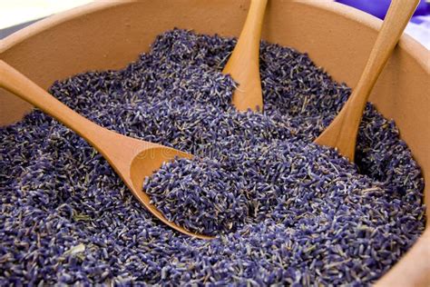 Lavender Seeds Stock Photo Image Of Spoon Natural Harvest 8290322