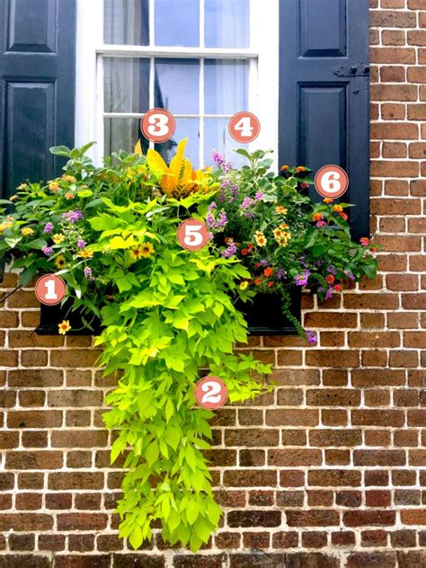 15 Simply Stunning Summer Window Boxes Hgtv