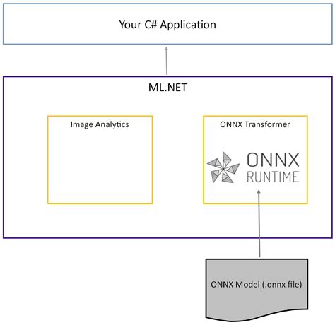 Tutorial Detect Objects Using An Onnx Deep Learning Model Mlnet