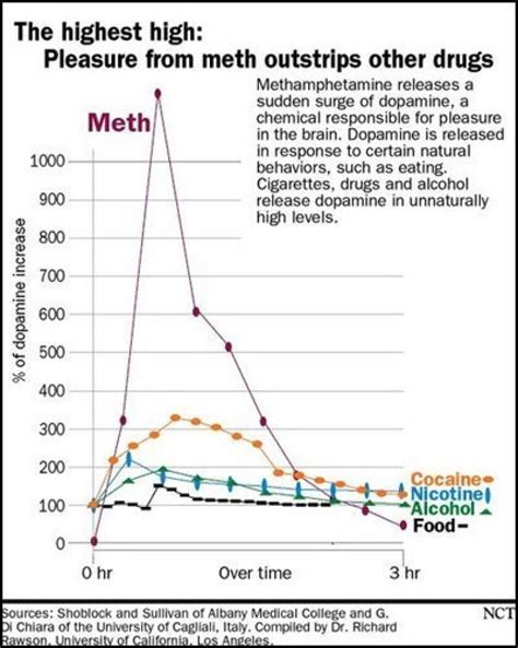 The Neuroscience Of Meth — From Pleasure To Paranoia Drugs Effects Explained Through Brain
