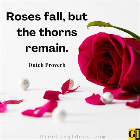 80 Deep Roses Quotes On Beauty Love And Thorns
