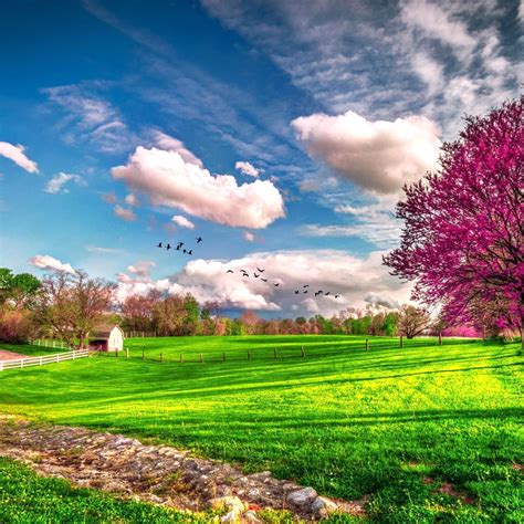 Download 10 New Spring Scenery Wallpaper Widescreen Full Hd Beautiful