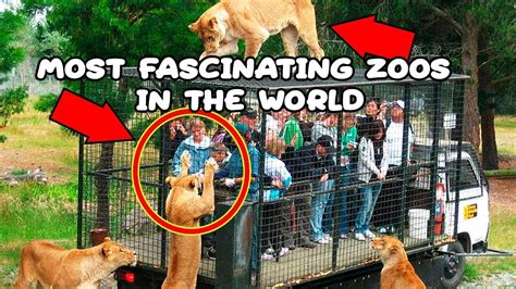 10 Most Amazing And Fascinating Zoos In The World Youtube