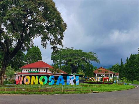 Refreshing Tourist Spot The Wonosari Tea Plantation Malang Walkinjava