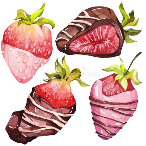 Fresas Cubiertas De Chocolate Elementos Aislados Ilustración De