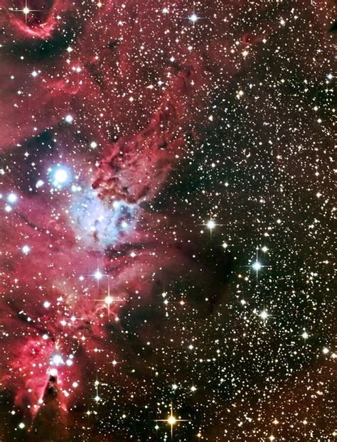 Fox Fur Nebula By Jim Delillo