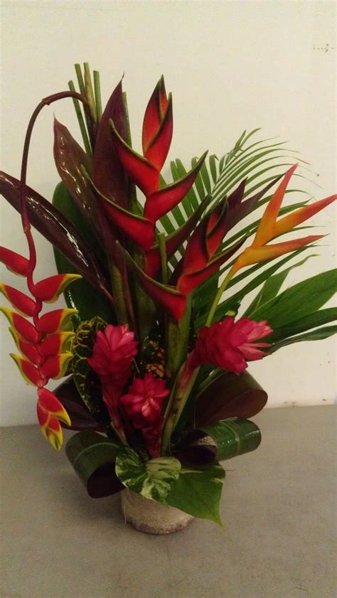 Happy Mothers Day From Exotica Tropicals Exotica Tropicals