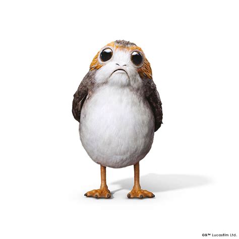 Who Is Cuter The Niffler Fantastic Beasts Or The Porg Star Wars Ep