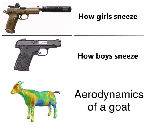 Aerodynamics Of A Goat Rimsorandom
