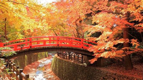 秋の絶景 紅葉を京都で愉しむおすすめホテル5選 一休コンシェルジュ