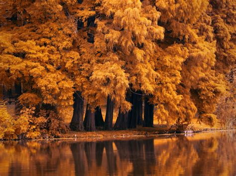25 Beautiful Autumn Desktop Wallpaper Hd Basty Wallpaper Images