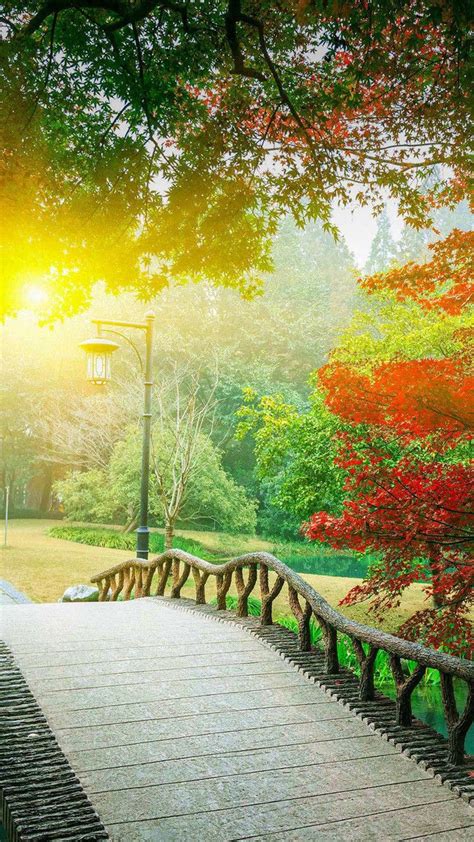 Park Background Hd Images For Photoshop