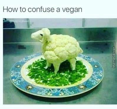 30 Sassy Memes That Ll Trigger Your Vegan Friends Vegan Humor Vegan