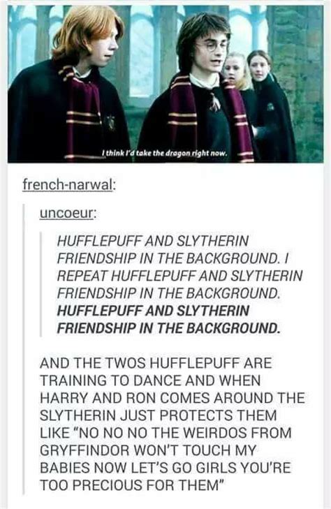 Image Result For Slytherin X Hufflepuff Harry Potter Universal Harry