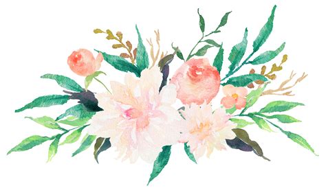 Flower Illustration Watercolor Png