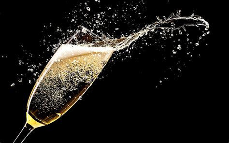 Download Wallpapers Champagne Splashes Glass Of Champagne Black