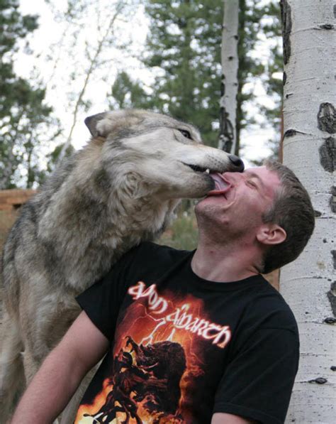 Wolves Are Just Big Puppies