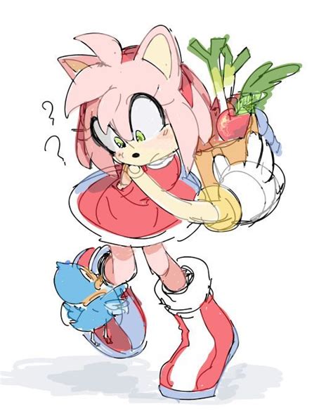 Pin By Paula On Emi Rousu Amy Rose Amy The Hedgehog Sonic Fan Art