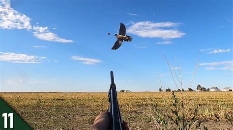 Doves Were Everywhere Limited Out 28 Gauge Dove Hunting Youtube