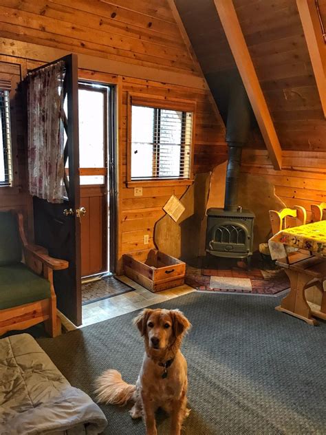 Check spelling or type a new query. Arizona Mountain Inn & Cabins - 62 Photos & 50 Reviews ...
