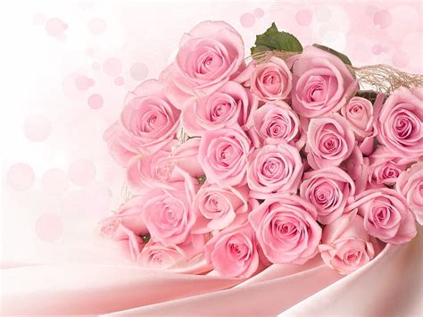 Ramo De Rosas Rosadas Rosas Flores Ramo Elegante Tierno Fondo De