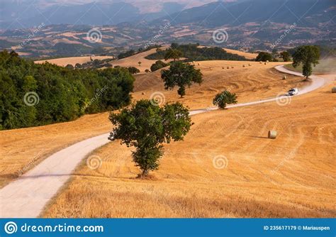 Rural Landscape With Winding Road Among Fields In Countryside Stock