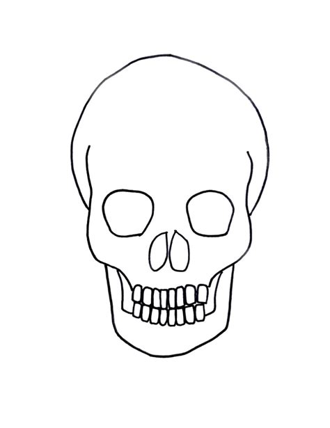 Easy Skull Anatomy Drawing