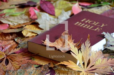 Bible Between Colorful Autumn Leaves Autumn — Photo — Lightstock