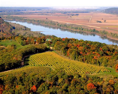 The Hermann Wine Trail In Missouri
