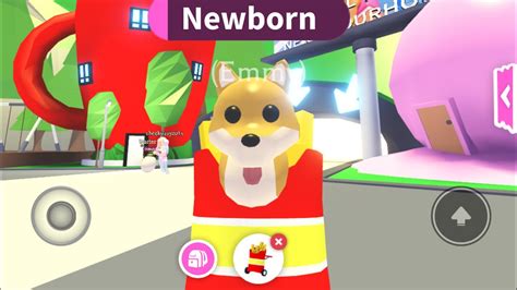 Discover your knowledge about adopt me legendary pets quiz with the game of the moment adopt me games all pets quiz where you will be able to guess check it out by downloading adopt me games all pets quiz! Adopt Me Quiz 2020 / Now this quiz is completely random ...