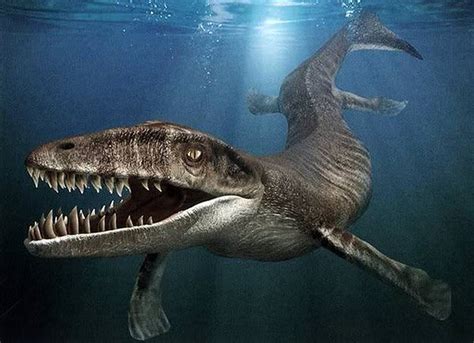10 Biggest Water Dinosaurs And Sea Monsters Ever Found In Archaeology
