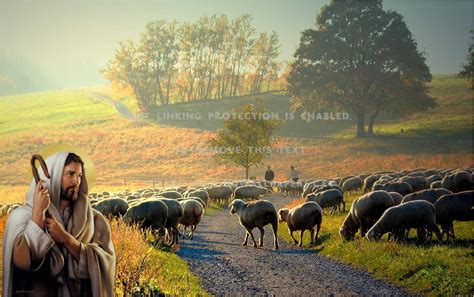 Jesus With Sheep Wallpapers Wallpaper Cave