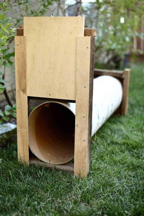 How To Build A Diy Skunk Trap Using A Form Tube Thediyplan