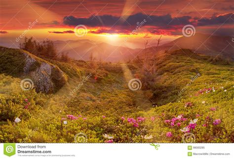 Amazing Colorful Sunrise In Mountains With Colored Clouds And Pink
