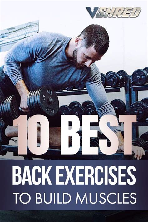 10 Best Back Exercises To Build Muscle V Shred Good Back Workouts