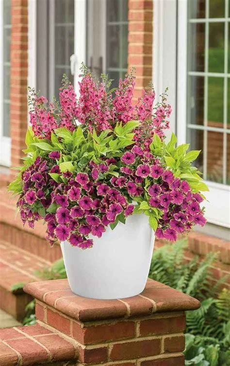 13 Fresh And Easy Summer Container Garden Flowers Ideas Container