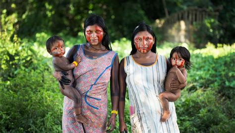 Indigenen völkern „entwicklung aufzuzwingen funktioniert einfach nicht. Coronavirus könnte indigene Völker in Brasilien auslöschen ...