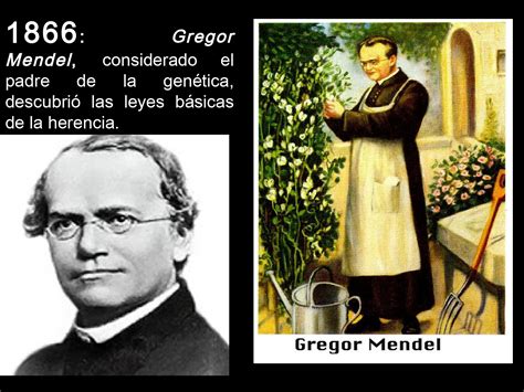 Top 99 Imagen Gregor Mendel Padre De La Genetica Thcshoanghoatham