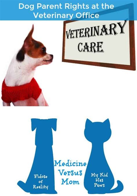 Dog Parent Rights At The Veterinary Office Dognews Dogs Doglovers