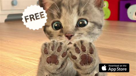 Little Kitten: My Favorite Cat For iOS Goes Free As Apple ...