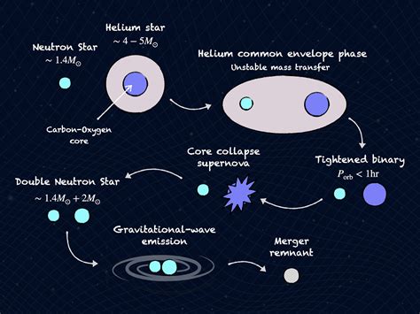 Investigating The Lives Of Double Neutron Stars Spaceaustralia