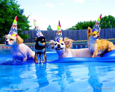 Pool Birthday Party Dogs By Sherial Vaughn Redbubble