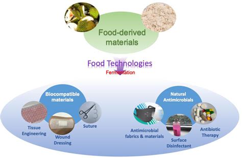 Clinically Relevant Materials And Applications Inspired By Food
