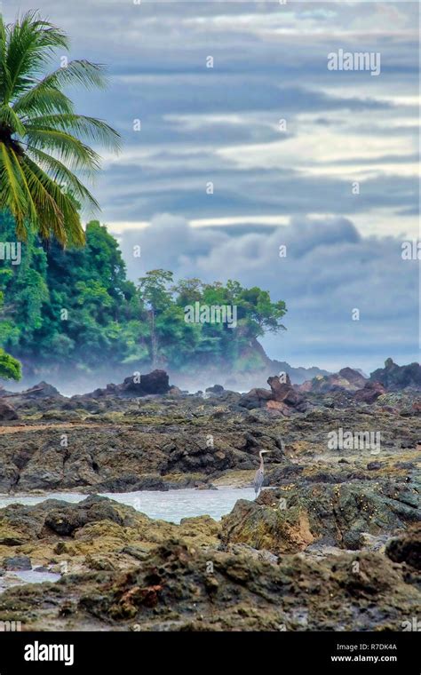 Costa Ricas Beautiful Scenery Stock Photo Alamy